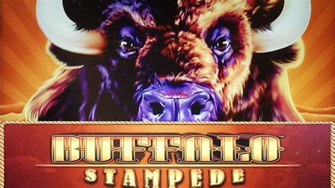 free slots buffalo stampede